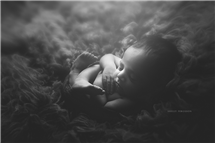 Shelly Ferguson newborn photography