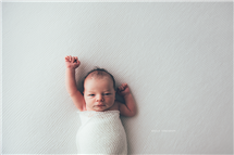 Shelly Ferguson newborn photography