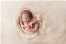 Shelly Ferguson newborn photography