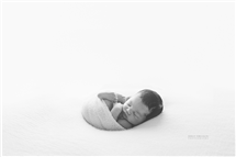 Shelly Ferguson newborn photography