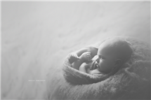 Shelly Ferguson newborn photography