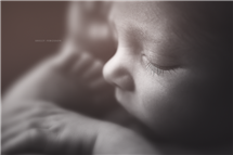 Shelly Ferguson newborn photography