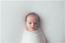 Shelly Ferguson newborn photography