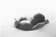 Shelly Ferguson newborn photography