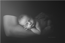 Shelly Ferguson newborn photography