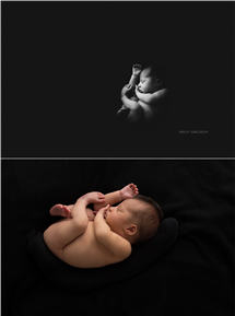 Shelly Ferguson newborn photography