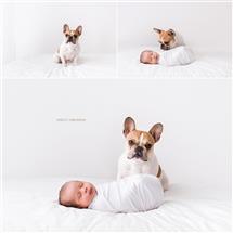 Shelly Ferguson newborn photography
