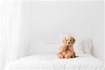 Shelly Ferguson newborn photography