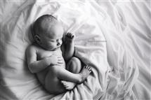 Shelly Ferguson newborn photography