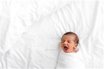 Shelly Ferguson newborn photography