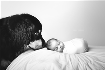 Shelly Ferguson newborn photography