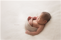 Shelly Ferguson newborn photography