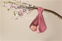Shelly Ferguson newborn photography