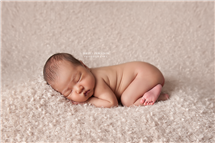 Shelly Ferguson newborn photography