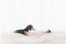 Shelly Ferguson newborn photography