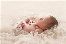 Shelly Ferguson newborn photography