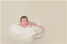 Shelly Ferguson newborn photography