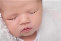 Shelly Ferguson newborn photography