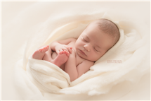 Shelly Ferguson newborn photography