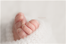 Shelly Ferguson newborn photography