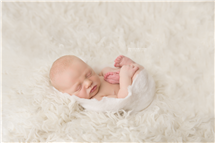 Shelly Ferguson newborn photography