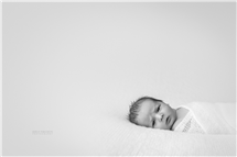 Shelly Ferguson newborn photography
