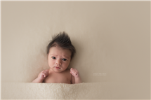 Shelly Ferguson newborn photography