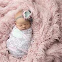 Alisha Gilliam Newborn Photographer - profile picture