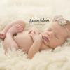 newborn photographer Shannon Anderson