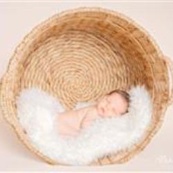 Alexa Machado Newborn Photographer - profile picture