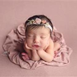 Diana Dietzel Newborn Photographer - profile picture