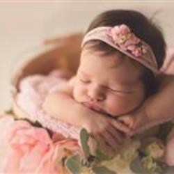 Jennifer Banz Newborn Photographer - profile picture