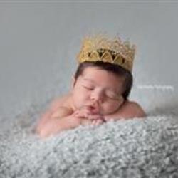 Erin Morris Newborn Photographer - profile picture