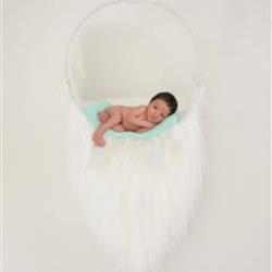 Gina Henley Newborn Photographer - profile picture