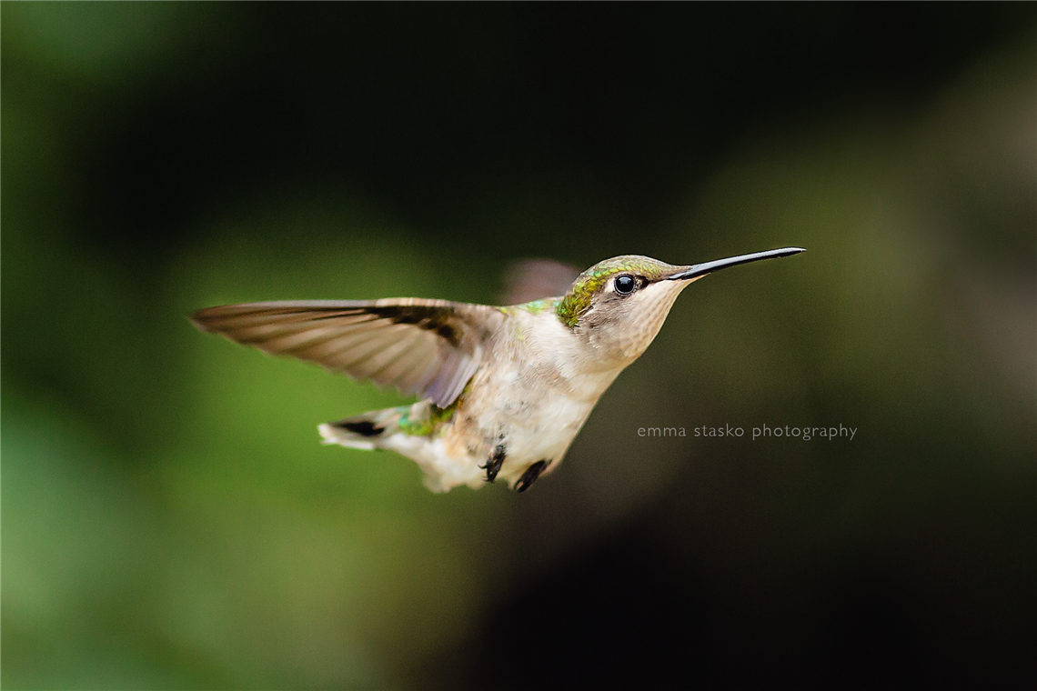 newborn photography community critique photo submitted by Emma Stasko - 4 community members set this photo as a favourite image.