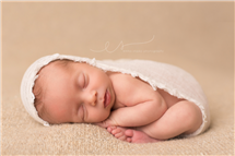 Emma Stasko newborn photography