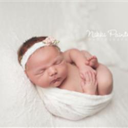 Nikki Painter Newborn Photographer - profile picture