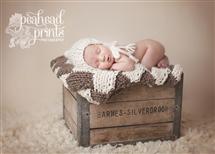 Gina Neary newborn photography