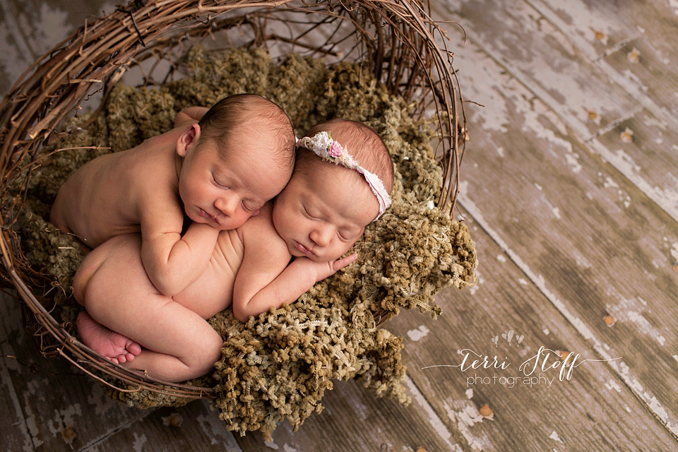 newborn photography community critique photo submitted by Terri Stoff - 3 community members set this photo as a favourite image.