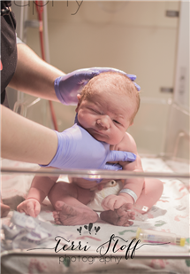 Terri Stoff newborn photography
