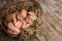 Terri Stoff newborn photography