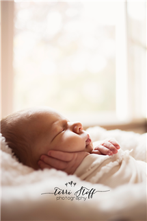 Terri Stoff newborn photography
