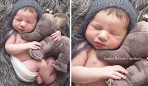 None None newborn photography