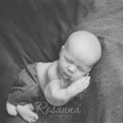 rosanna barr Newborn Photographer - profile picture