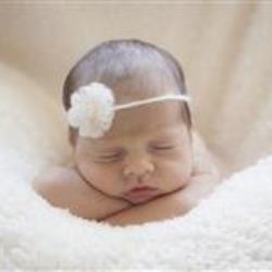Gil Levene Newborn Photographer - profile picture