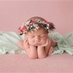 Emily Valentine Newborn Photographer - profile picture