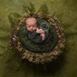 Mandi McCormack Newborn Photographer - profile picture
