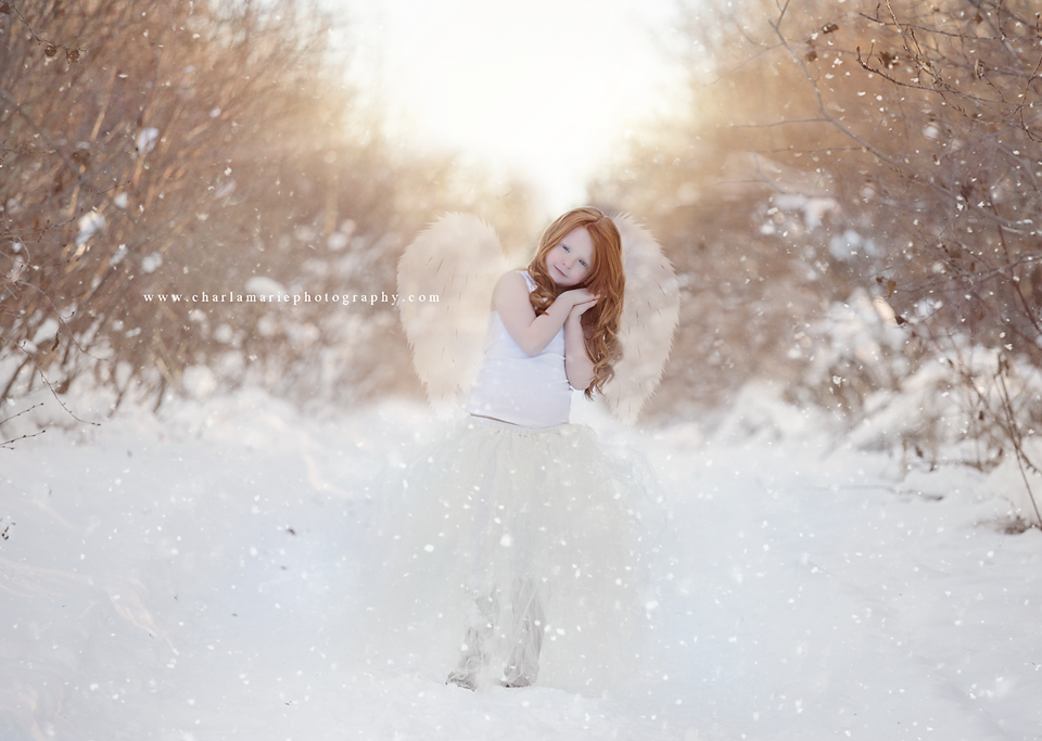 newborn photography community critique photo submitted by Charla Ashe - 4 community members set this photo as a favourite image.