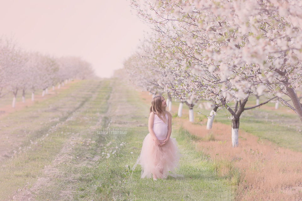 newborn photography community critique photo submitted by Sandra Letourneau - 2 community members set this photo as a favourite image.