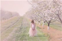 Sandra Letourneau newborn photography